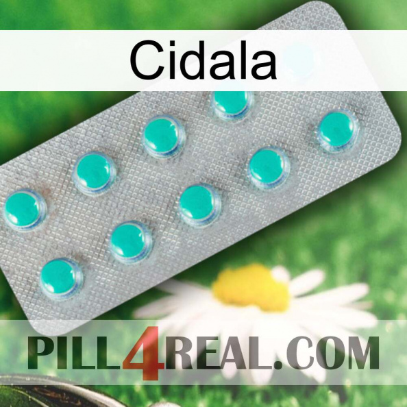 Cidala 28.jpg